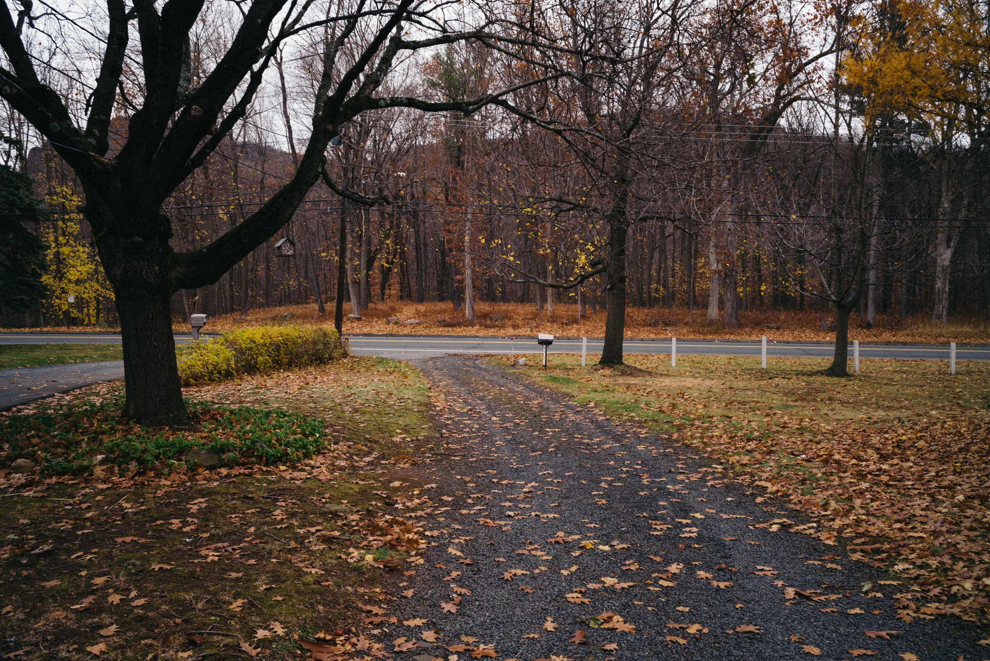 PauloLopez-Connecticut-10.jpg
