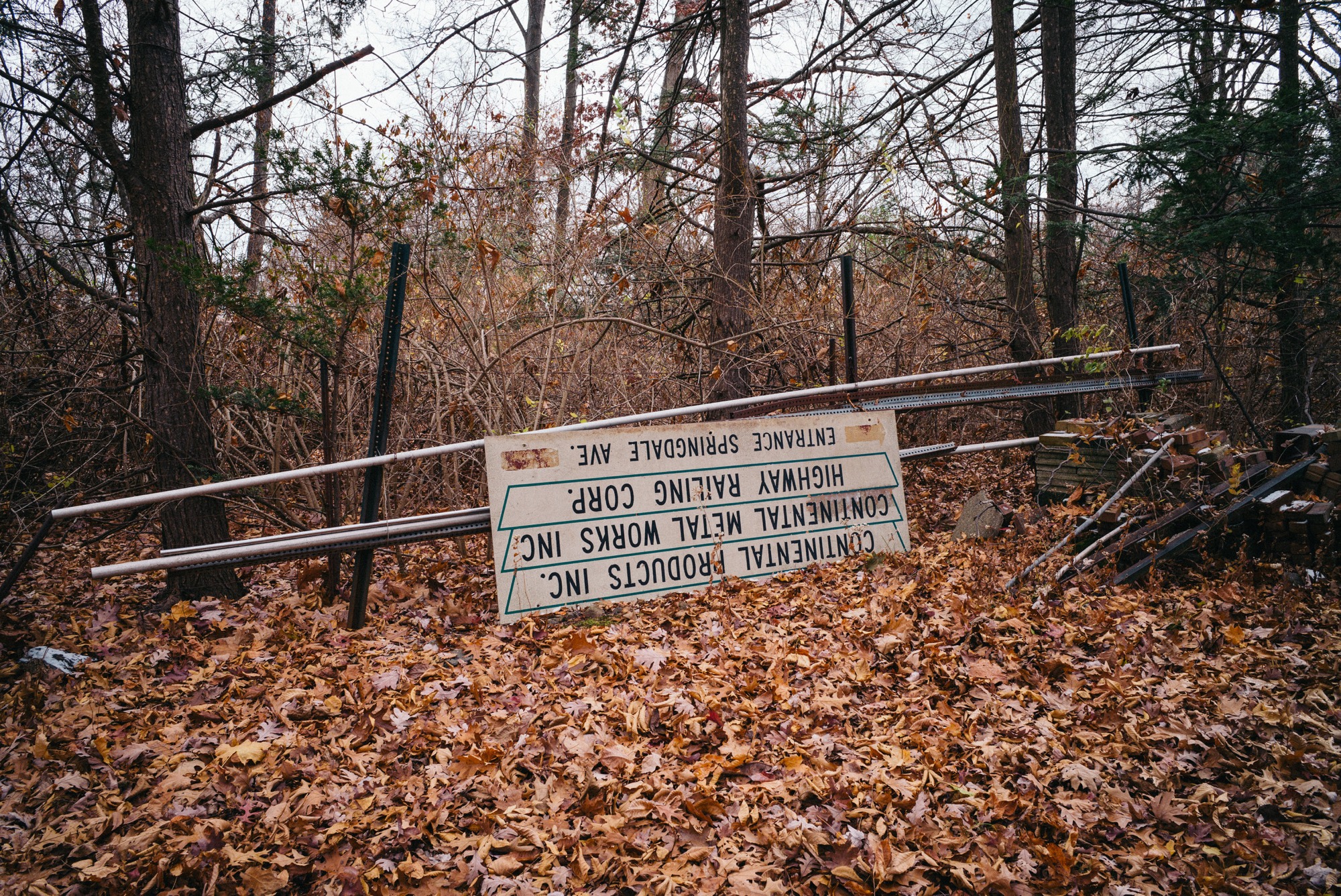 PauloLopez-Connecticut-18.jpg