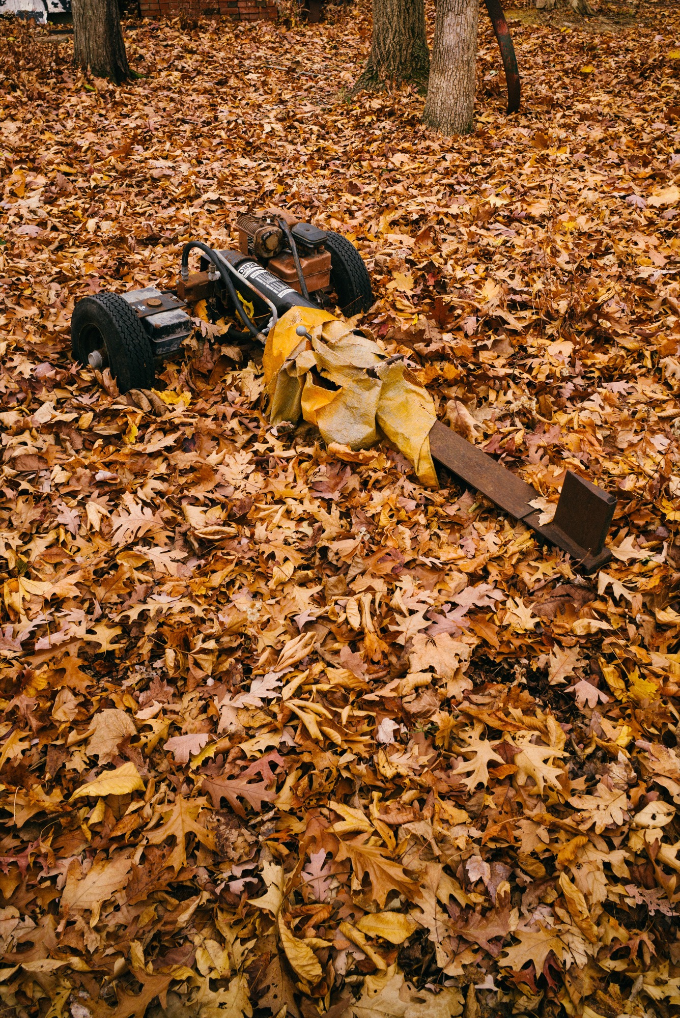 PauloLopez-Connecticut-19.jpg