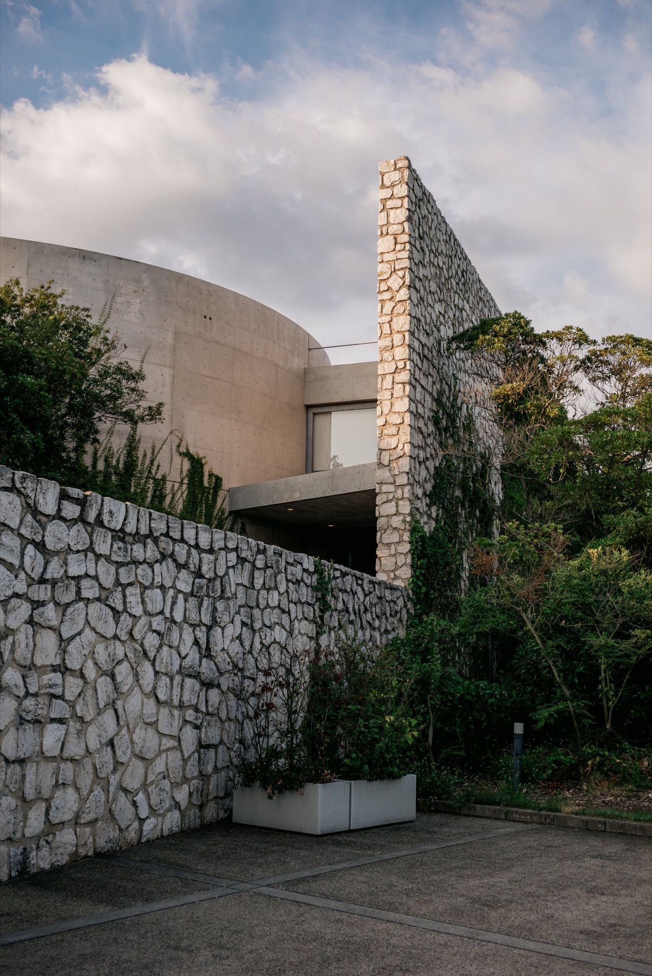 L1003803.jpg