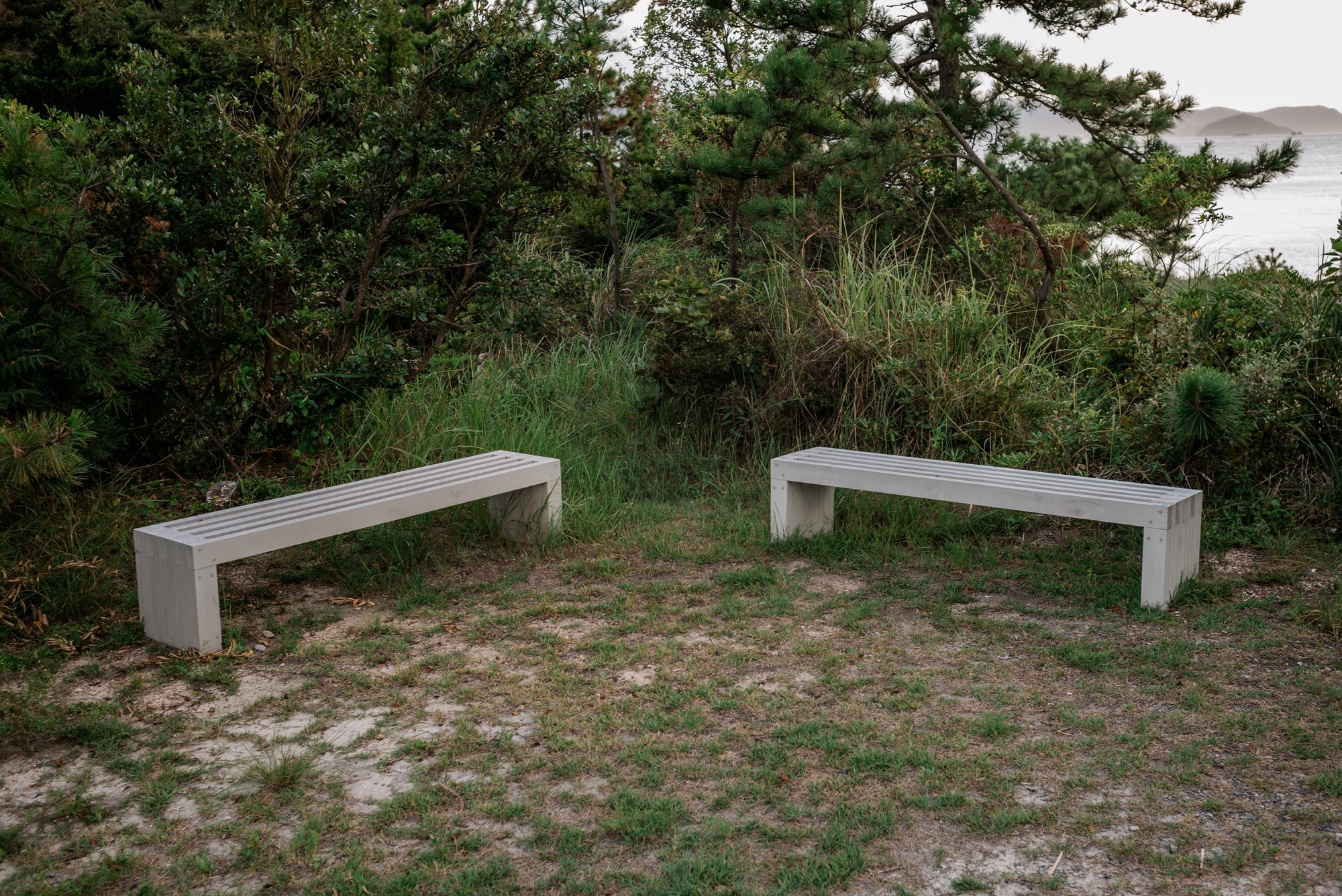 L1003811.jpg