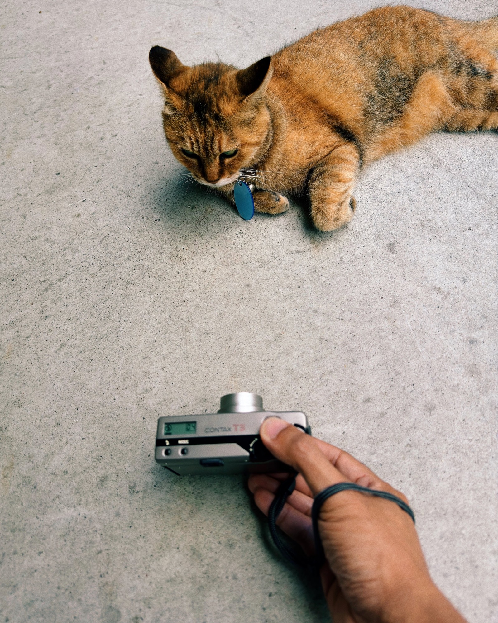  Processed with VSCO with c3 preset 